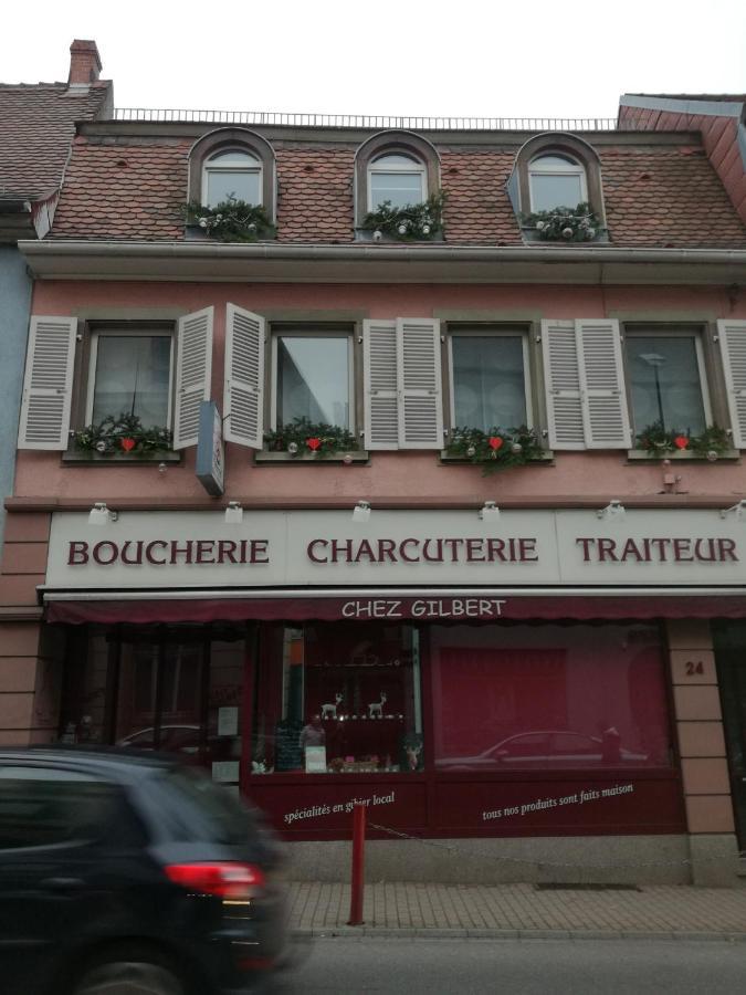 Spacieux Appartement Dans Le Centre De Munster Мюнстер Екстер'єр фото